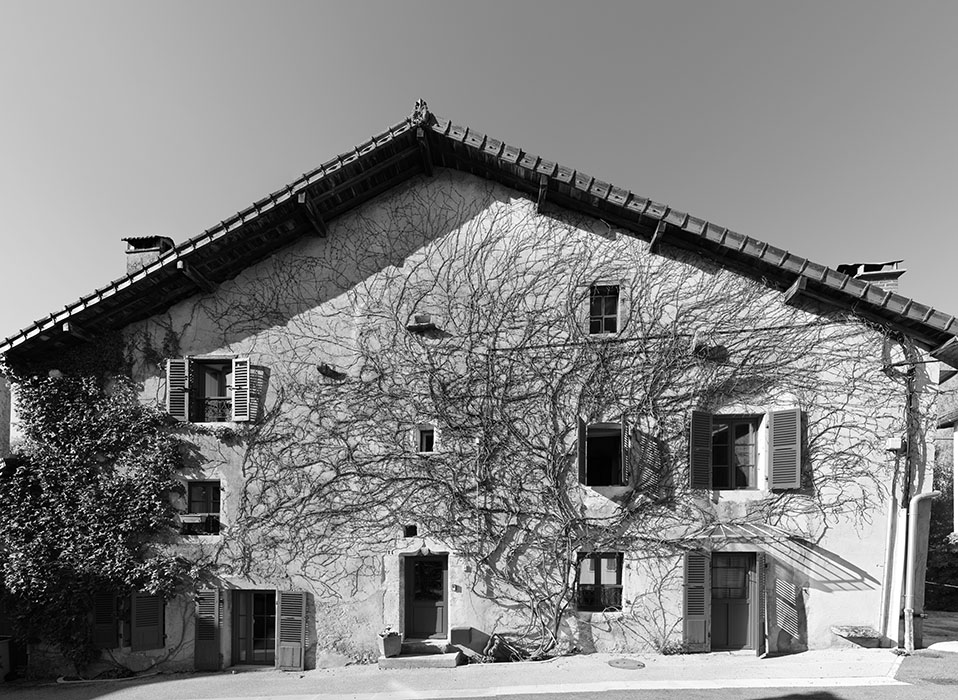 B&W Photo of Old French Building Covered with Vine.